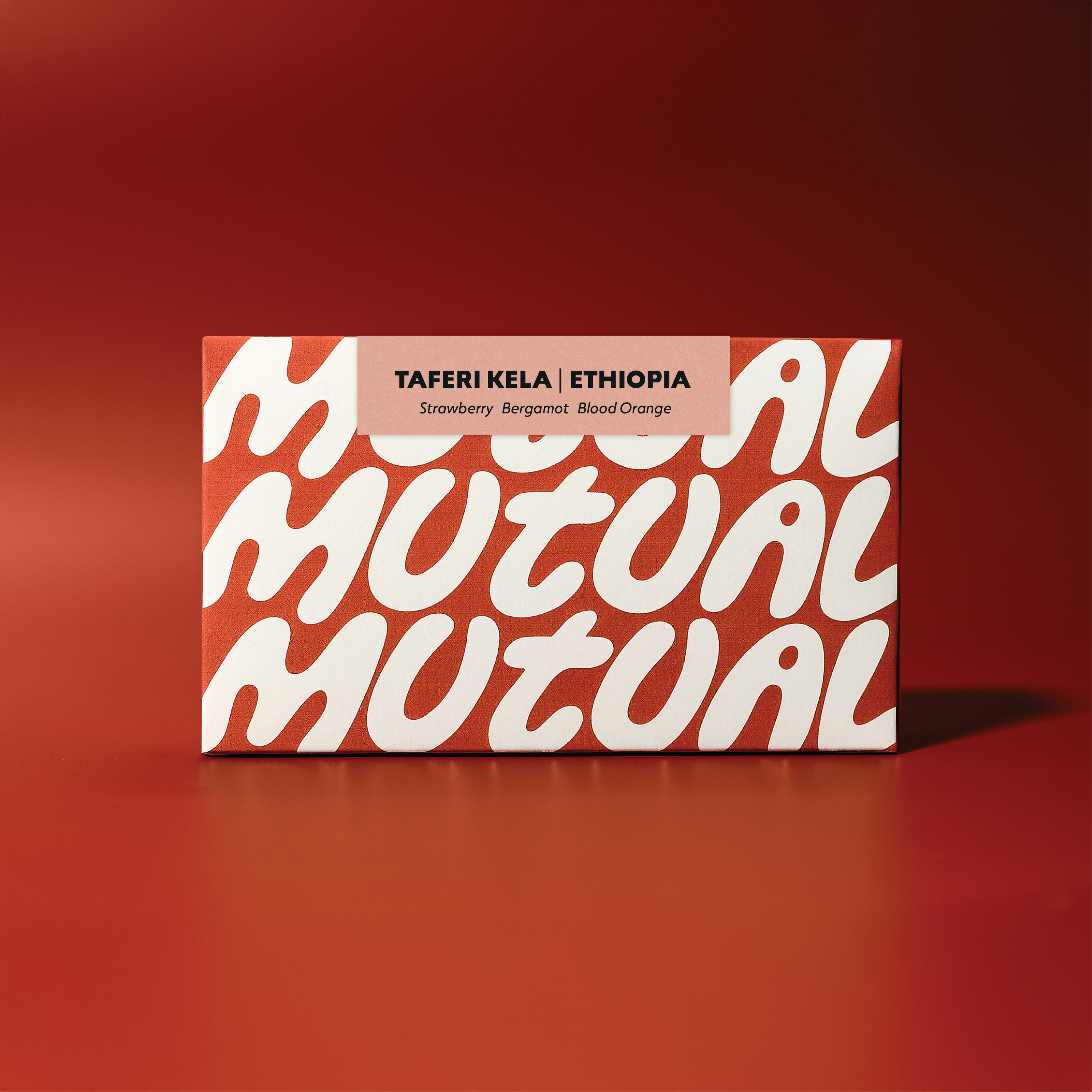 Taferi Kela - Ethiopia